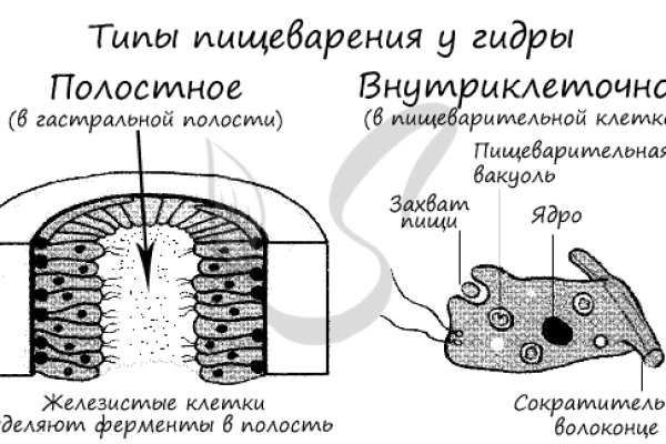 Кракен ru