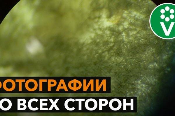 Кракен дарк площадка